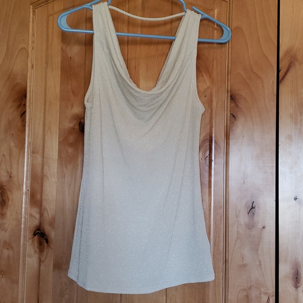 New Beautiful sleeveless top with sparkling material - NWOT